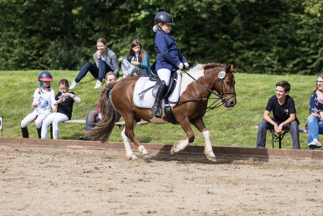 Bild 141 - Pony Akademie Turnier